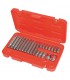 Coffret embouts empreintes RIBE 22 pièces