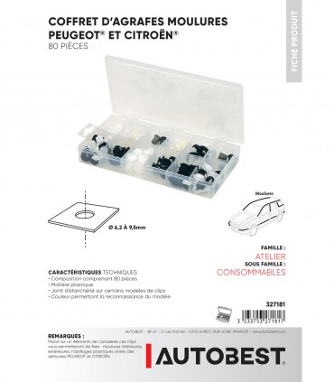 Coffret 80pcs agrafes moulures PSA
