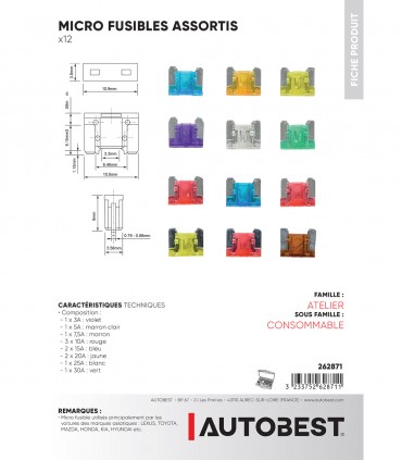 Lot de 12 micro fusibles