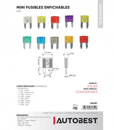 Lot de 10 mini fusibles