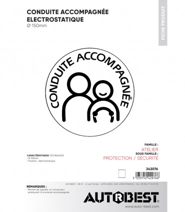 Conduite accompagnée électrostatique