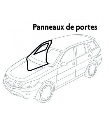 Coffret agrafes 85pcs panneaux de portes Renault
