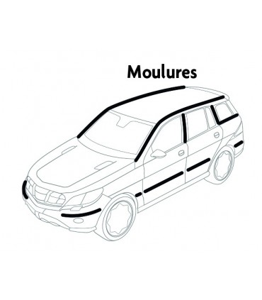 Coffret 90pcs agrafes moulures Renault