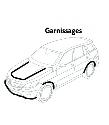 Coffret 109pcs agrafes garnissages Renault