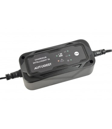 Chargeur et maintien de charge auto 6/12v 1a