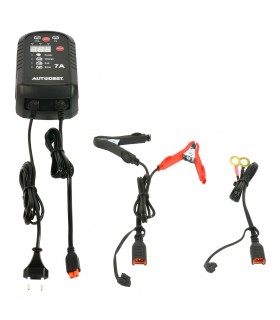 Chargeur de batterie automatique 7a-6/12v