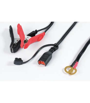 Chargeur de batterie automatique 7a-6/12v