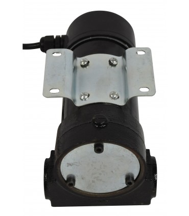 Pompe à fuel auto-amorcante 12V 175W