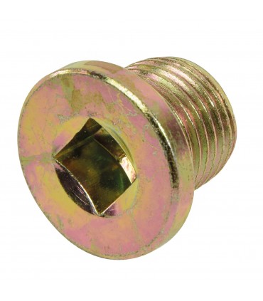 Bouchon vidange 16x150mm Renault n°17