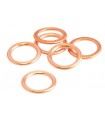 Lot 6 joints de vidange RMF 14mm