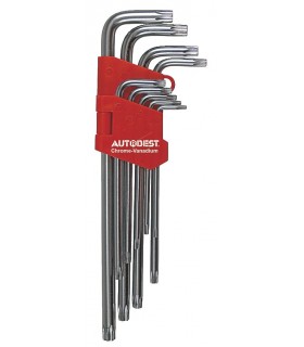 Étui de 9 clés Torx S mâles