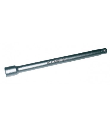 Rallonge cliquet carré 1/2 lg 250mm